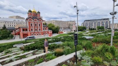 Зарядье сейилбагы